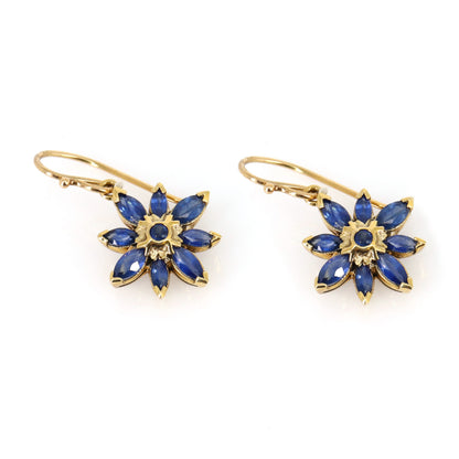 Blue Sapphire Earring Gold